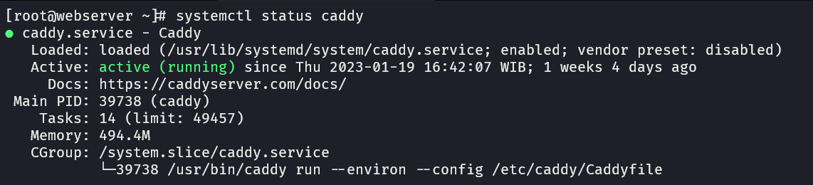 Caddy Status Service Output